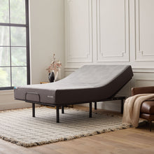 Neve Bundle - front view